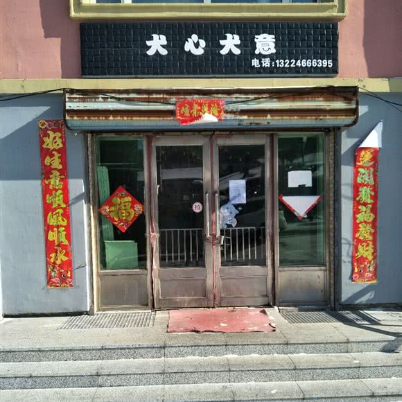 犬心犬意:佳木斯市抚远市