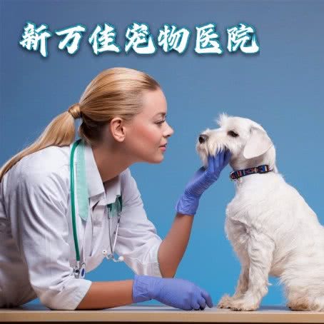 新万佳宠物医院:牡丹江市东安区