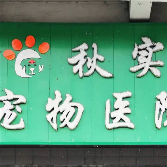 秋实宠物医院:牡丹江市阳明区