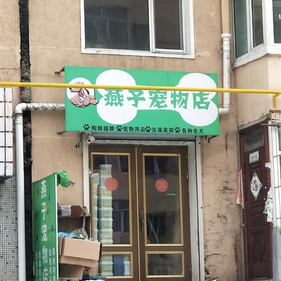 燕子宠物店:牡丹江市爱民区