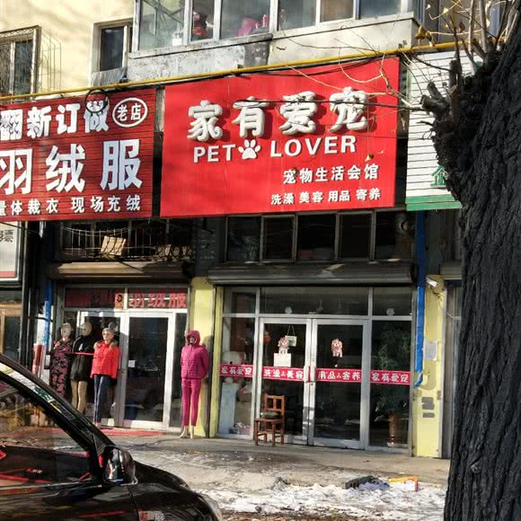 家有爱宠:牡丹江市爱民区