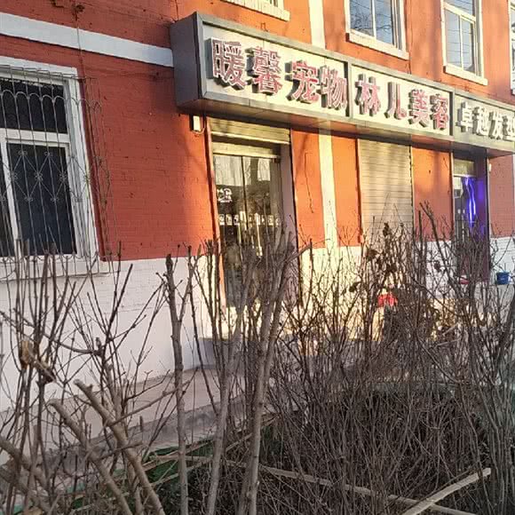 暖馨宠物:太原市尖草坪区迎新街附近
