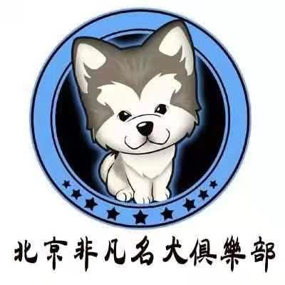 非凡犬舍.猫狗活体专卖店(南锣鼓巷店):北京城区东城区南锣鼓巷/鼓楼东大街附近