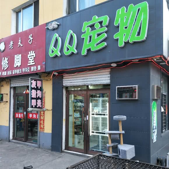 奇奇qq宠物店:牡丹江市绥芬河市