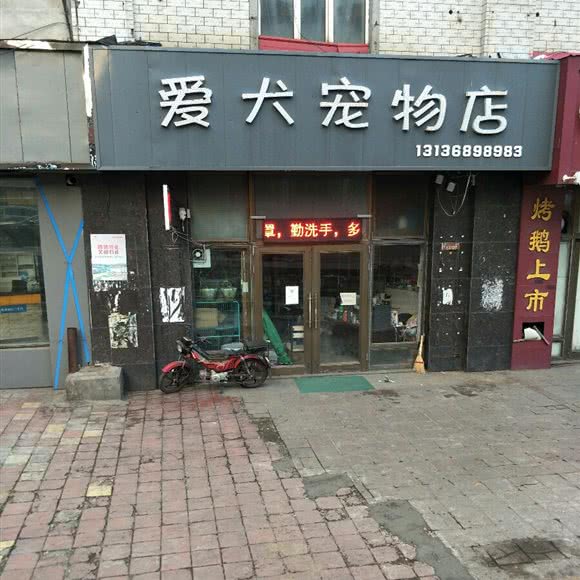 爱犬宠物店:牡丹江市绥芬河市