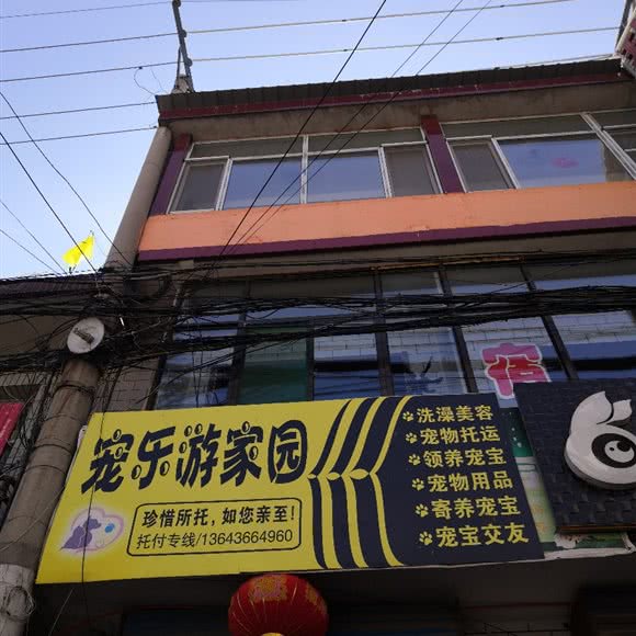 宠乐游家园:太原市尖草坪区中北大学附近