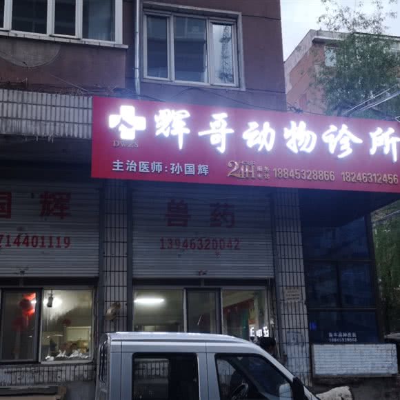 辉哥动物诊所:牡丹江市宁安市