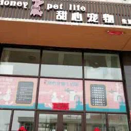 甜心宠物生活馆:黑河市五大连池市