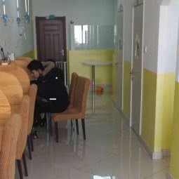 爱宠动物医院:绥化市兰西县