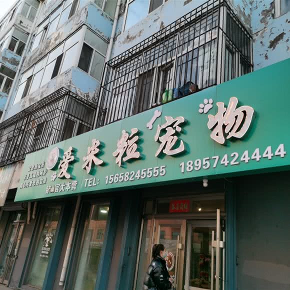 爱米粒宠物:绥化市绥棱县