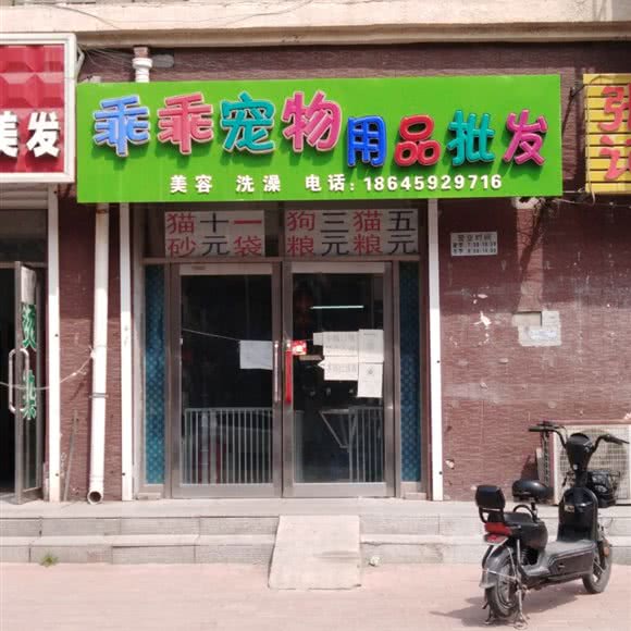 乖乖宠物:绥化市安达市