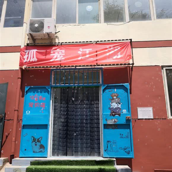 孤宠江湖:太原市尖草坪区柴村附近