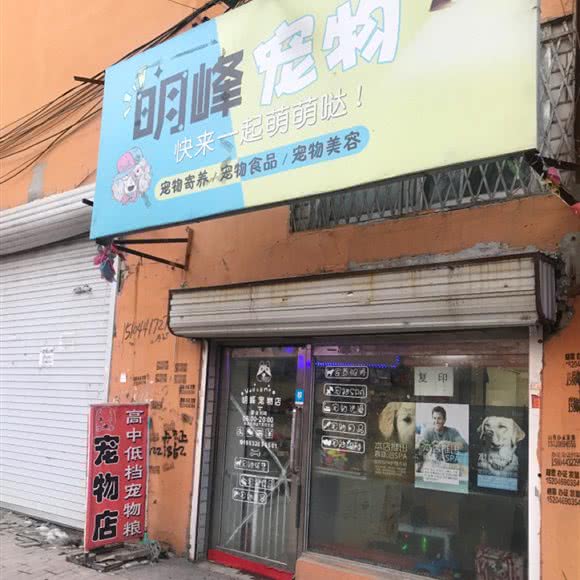 明峰宠物狗:绥化市肇东市