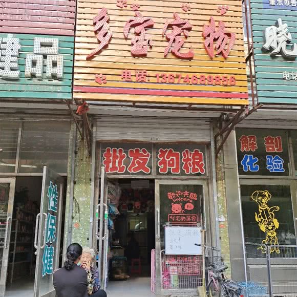 多宝宠物:绥化市肇东市