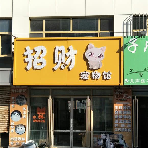 招财猫宠物馆:绥化市肇东市