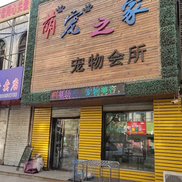 萌宠之家宠物会所:绥化市肇东市