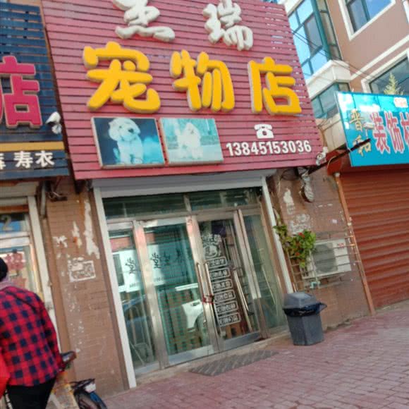 杰瑞宠物精品店:绥化市肇东市