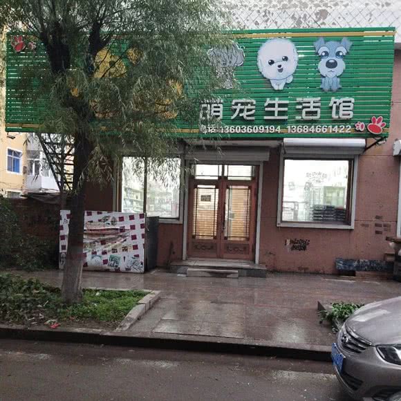 迪迪萌宠生活馆:绥化市肇东市