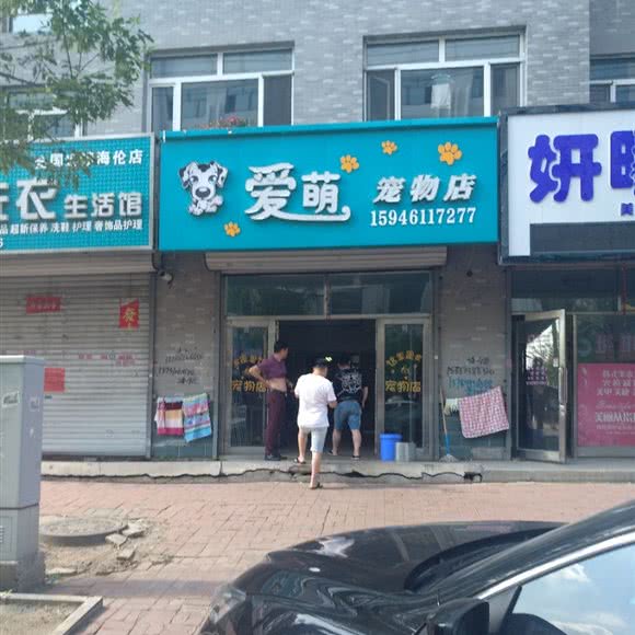 爱萌宠物店:绥化市海伦市