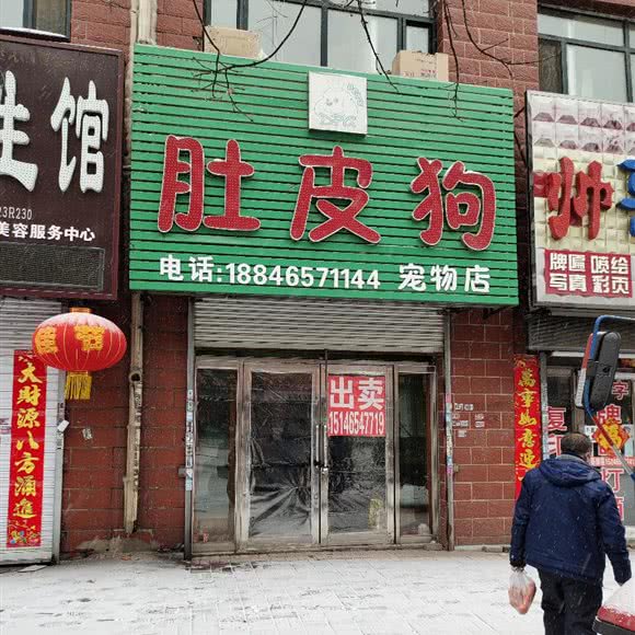 肚皮狗宠物店:绥化市海伦市