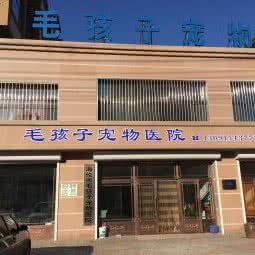 毛孩子宠物医院:绥化市海伦市