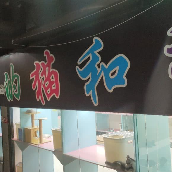 琦小姐的猫和狗:太原市万柏林区下元商业中心附近