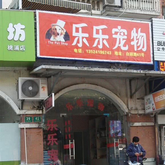 乐乐宠物:上海城区普陀区