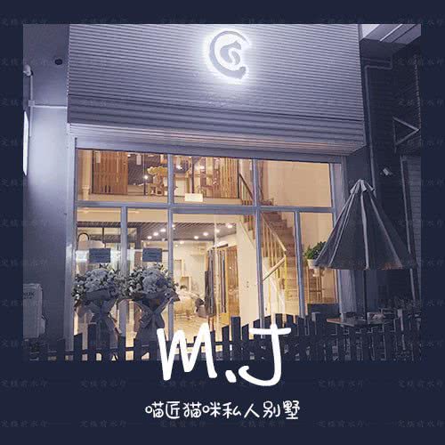 喵匠猫咪洗澡寄养生活馆:北京城区朝阳区百子湾附近