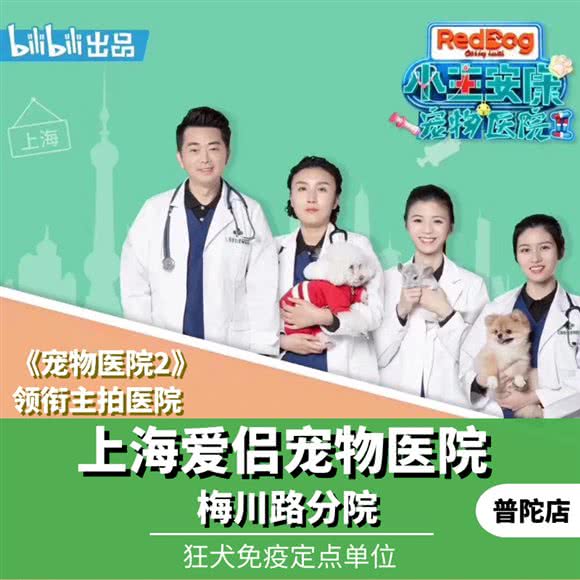上海爱侣宠物医院(梅川分院):上海城区普陀区