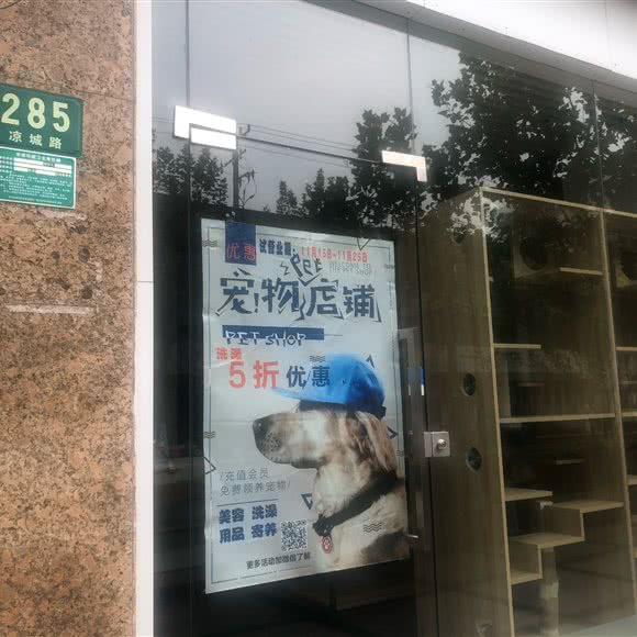 宠物pet店铺:上海城区虹口区