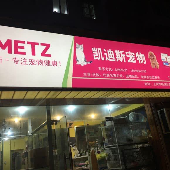 凯迪斯宠物(惠民路店):上海城区杨浦区