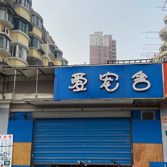 缘爱宠舍:上海城区杨浦区