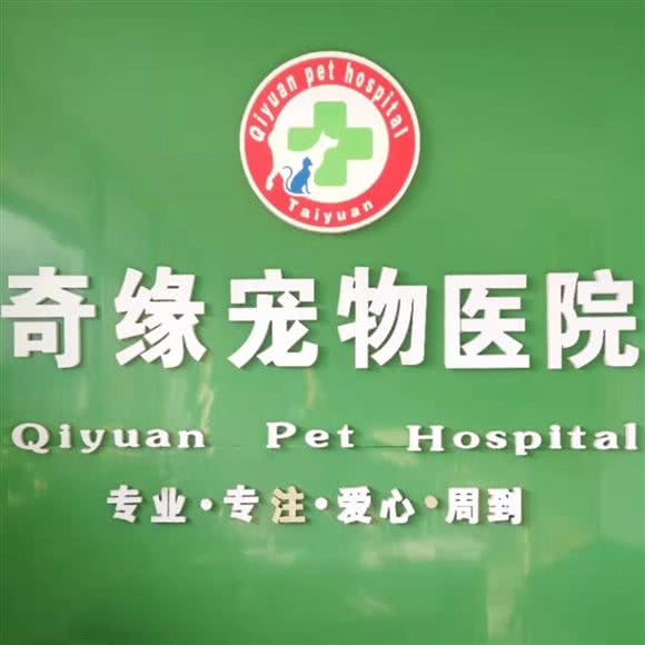 奇缘宠物医院:太原市万柏林区下元商业中心附近