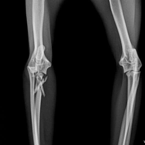 靖梵宠物医院:太原市万柏林区下元商业中心附近