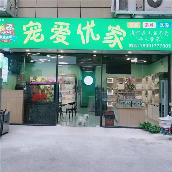 宠爱优家:上海城区宝山区