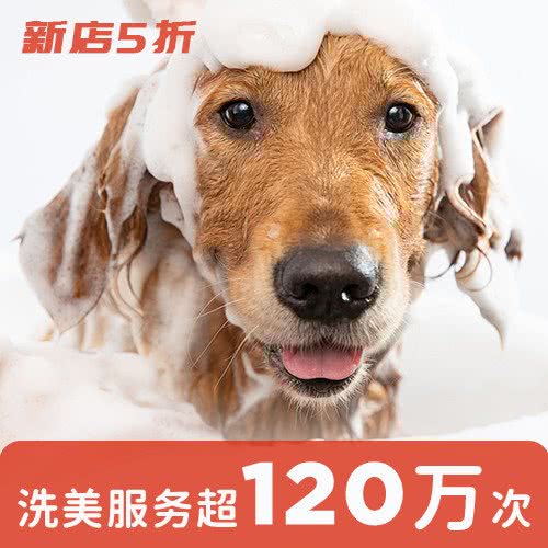 宠物家(真大路店):上海城区宝山区