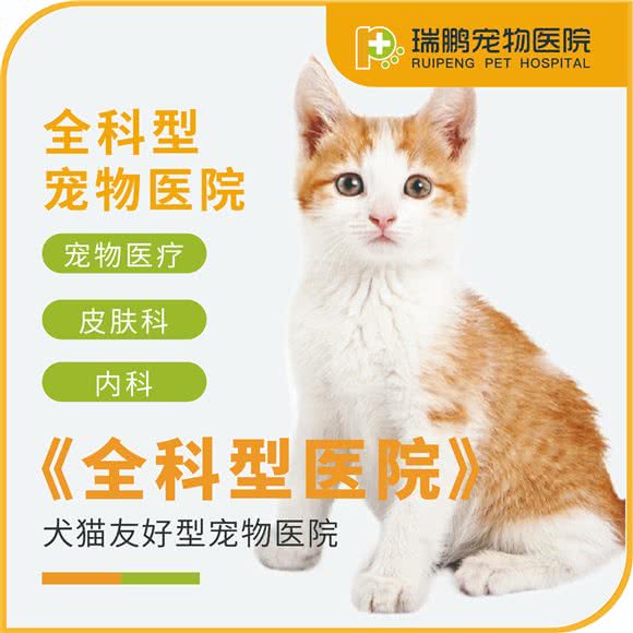 瑞鹏宠物医院(真大分院):上海城区宝山区