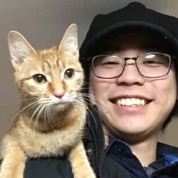 寄养主子店:上海城区嘉定区