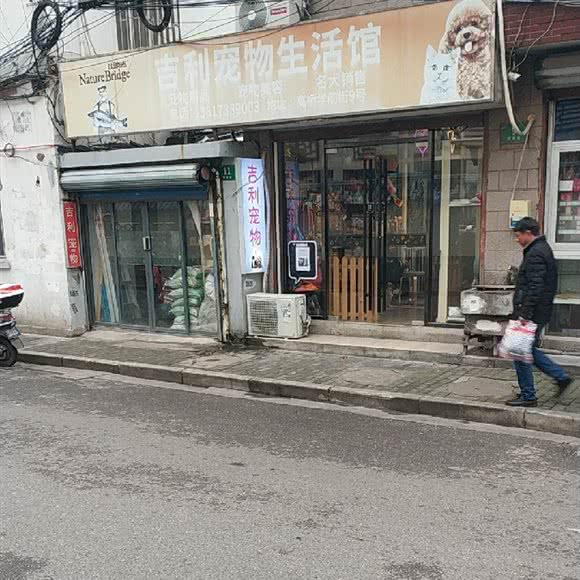 吉利宠物狗生活馆:上海城区浦东新区