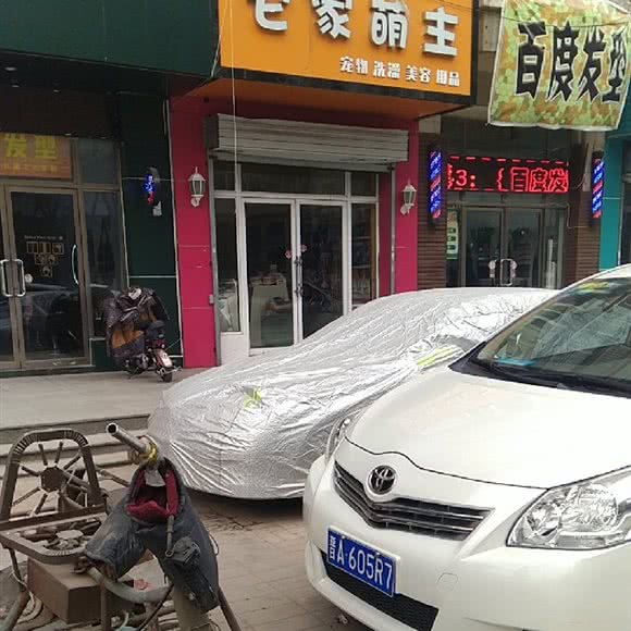 它家萌主:太原市万柏林区漪汾街附近