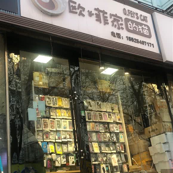 欧菲家的猫:太原市万柏林区漪汾街附近