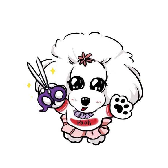 三只熊宠屋:上海城区松江区