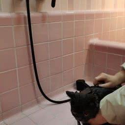 云狗宅·CLOUDOG精品宠物生活馆:上海城区松江区