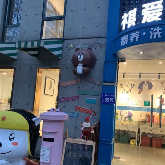 Amazing Love祺爱宠物:上海城区青浦区