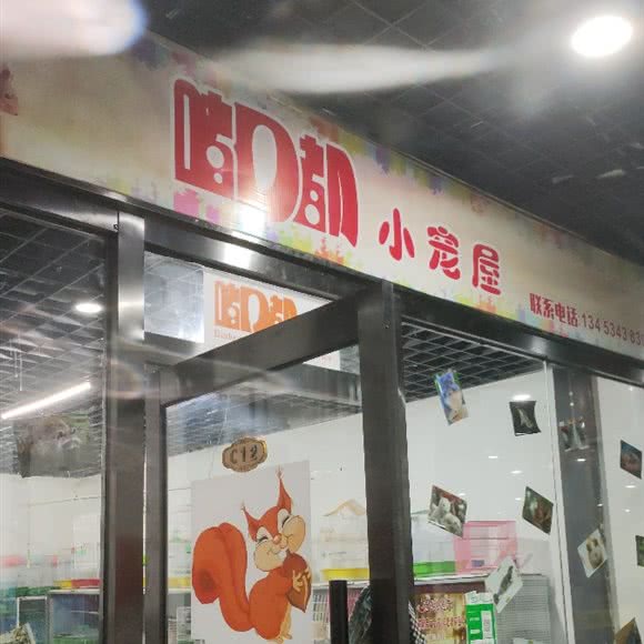 嘟嘟小宠屋:太原市万柏林区和平路附近