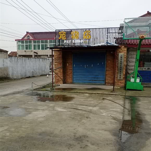 宠物店:上海城区崇明区
