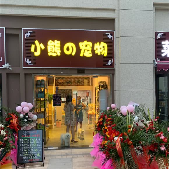 小熊的宠物:南京市玄武区