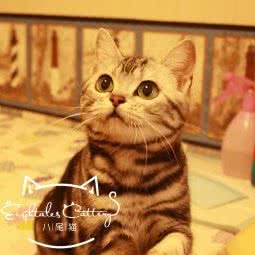 张艺宠物康复诊所:南京市玄武区