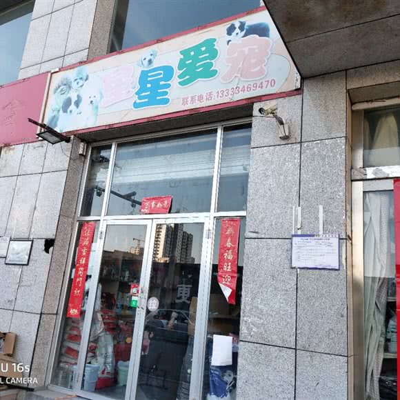 星星爱宠(瓦窑北街店):太原市万柏林区和平路附近
