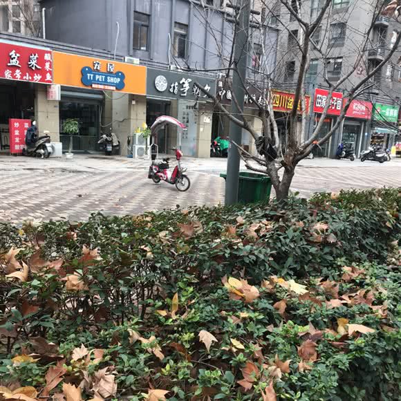 TT宠屋宠物生活馆:南京市浦口区